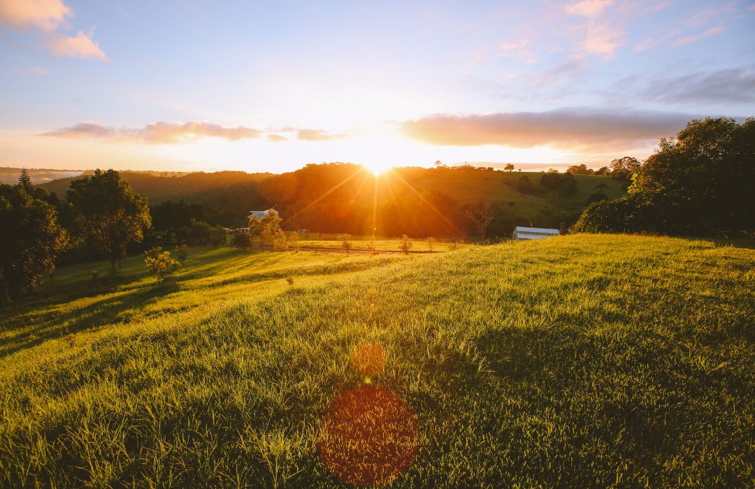 Real Estate Montgomery County