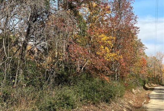 1003435 10533 county rd 2921