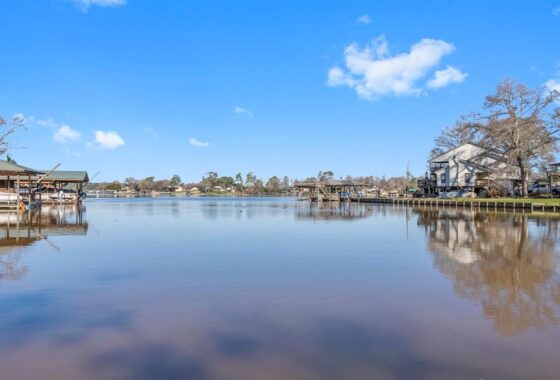 11258096 170 weeping willow