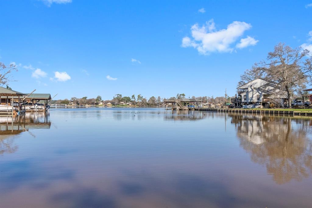 11258096 170 weeping willow