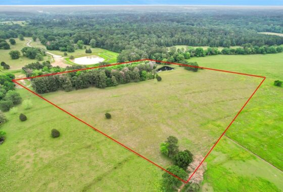 24598716 0000 alans memorial lane