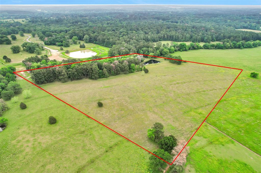 24598716 0000 alans memorial lane