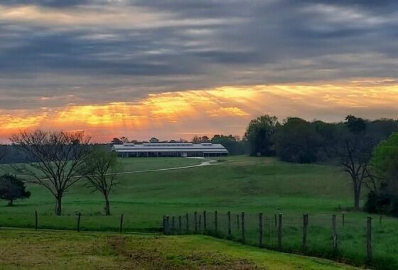 40402490 1733 fm 1791