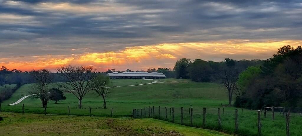 40402490 1733 fm 1791