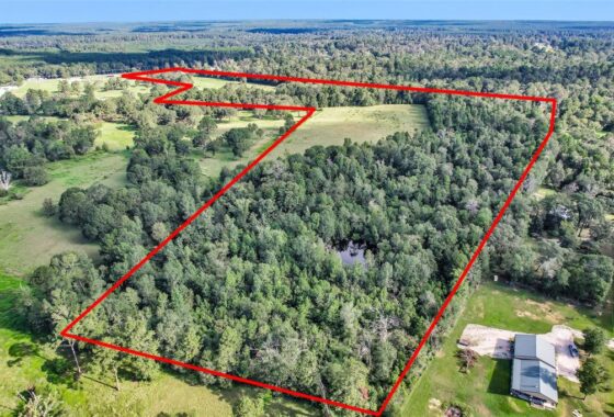 40578765 tbd fm 2693 road