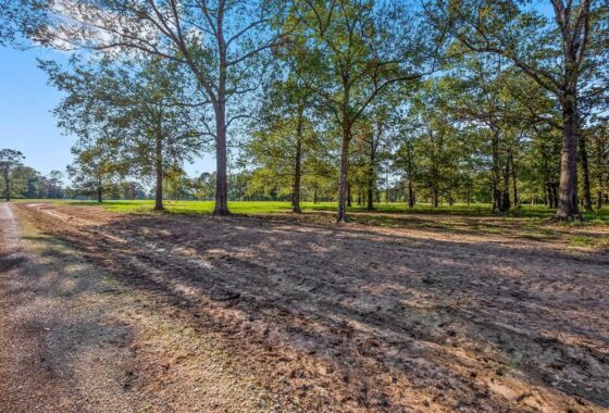 45535724 lot 5 alans memorial lane