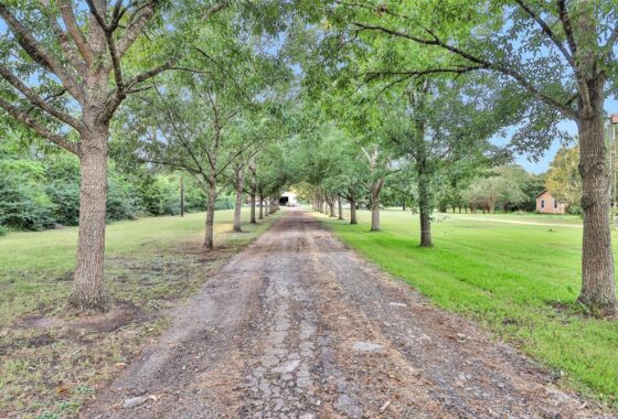 3314859 18135 n highway 75