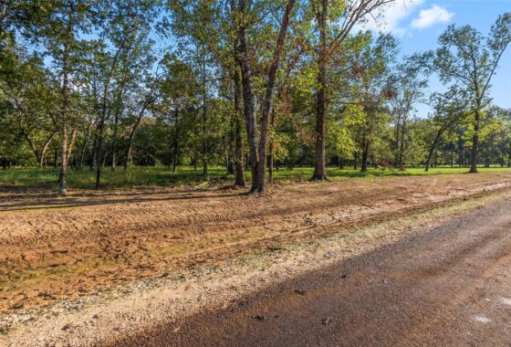 28146578 6088 alans memorial lane