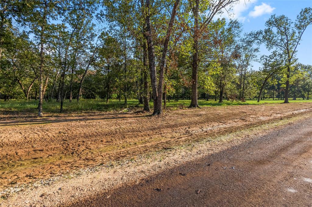 28146578 6088 alans memorial lane