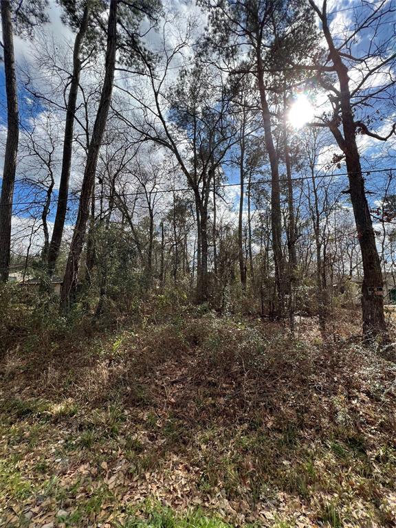 5688164 000 tanglewood