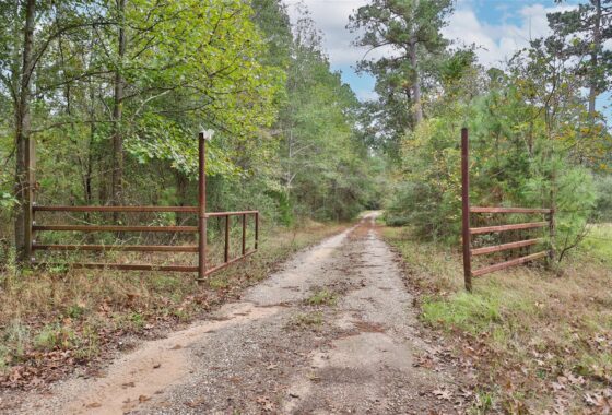 26325753 17008 e fm 1097 road