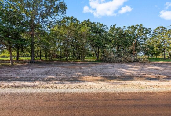 20190248 6141 alans memorial lane