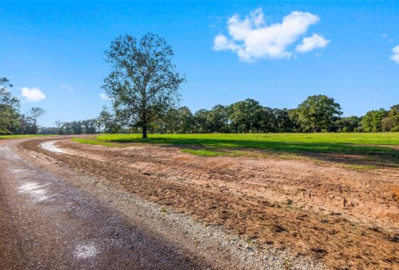 37529841 6069 alans memorial lane