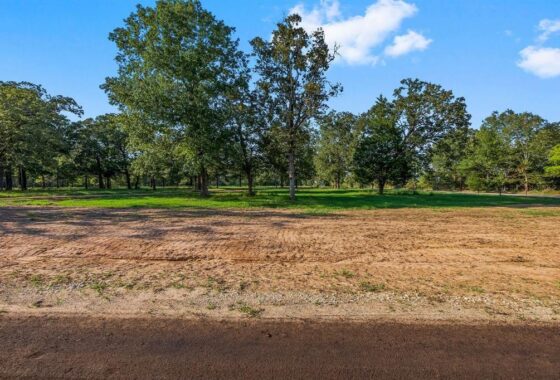 1093230 6159 alans memorial lane