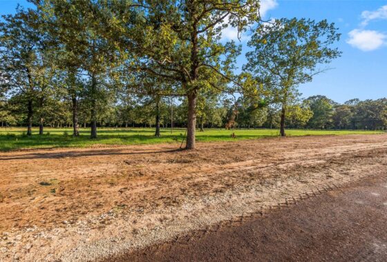 81499365 6142 alans memorial lane